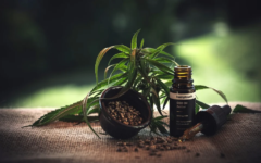 Health Benefits of CBD Oil